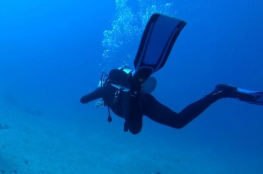 Warszawskie Centrum Naukowe Dive Club