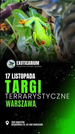 Warszawa Wydarzenie Targi EXOTICARIUM Targi Terrarystyczne Warszawa