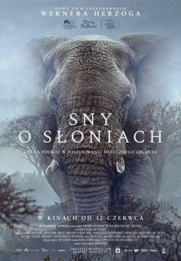 Warszawa Wydarzenie Film w kinie Sny o słoniach: KADR NON-FICTION